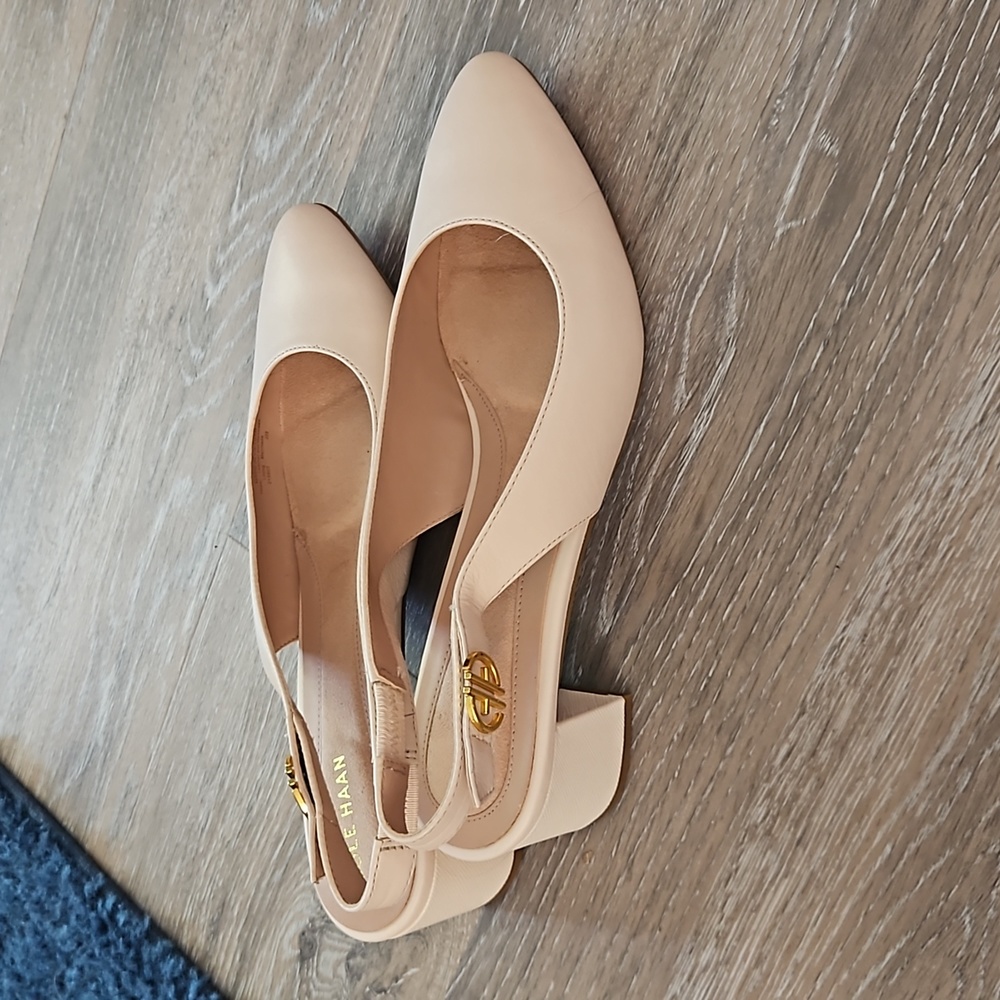 Low Heel Dress Shoe